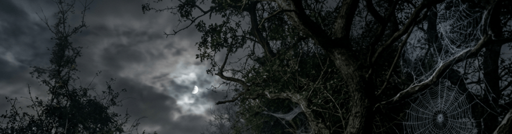 Dark forest path under cloudy sky with bright half moon